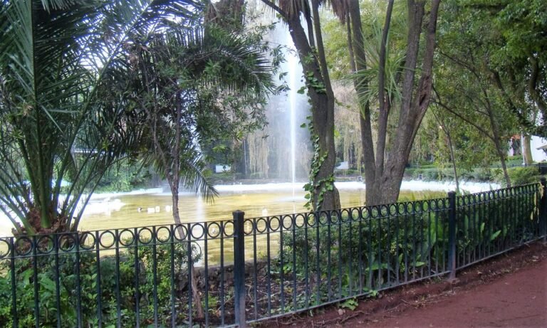 A fountain in Parque México, in Mexico City’s Hipódromo neighborhood, seen through trees behind a low iron fence