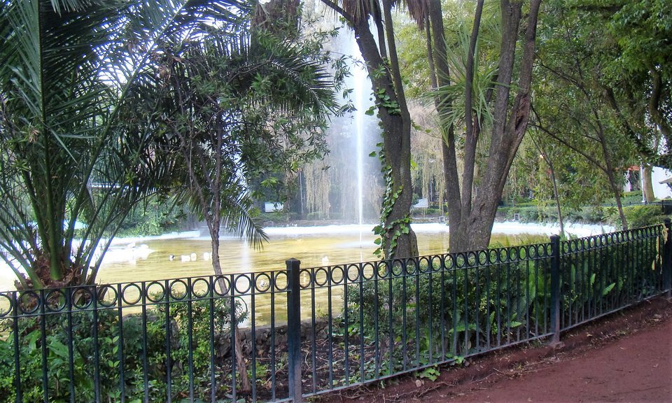 A fountain in Parque México, in Mexico City’s Hipódromo neighborhood, seen through trees behind a low iron fence