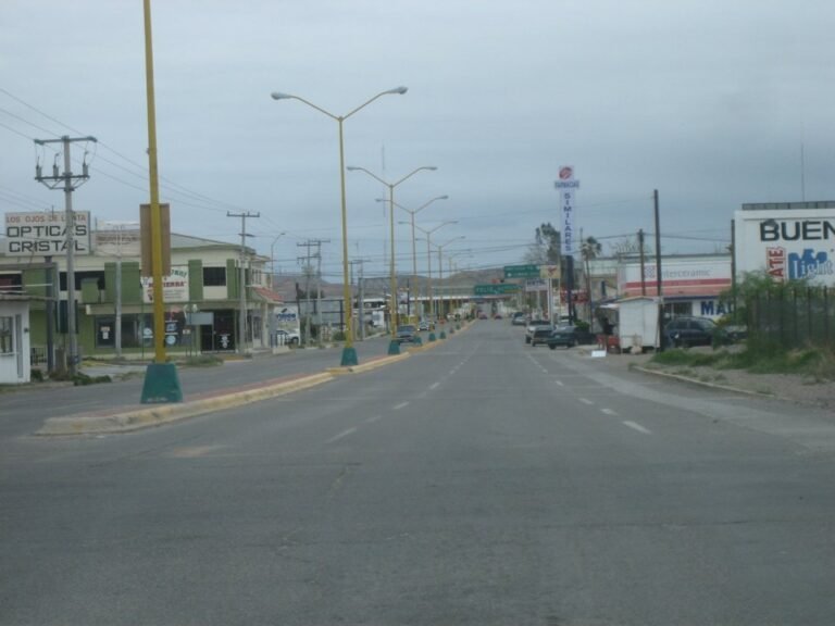 Boulevard Libre Comercio in Ojinaga, Chihuahua, looking north toward the U.S. border on a cloudy day
