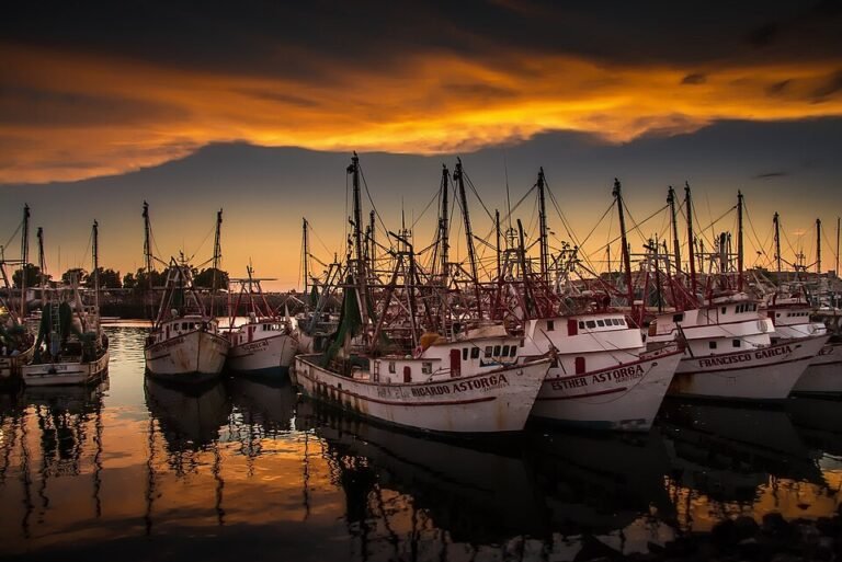 Shrimp boats moored in the fishing harbor of Puerto Peñasco, Sonora, at sunset, their reflections in calm water