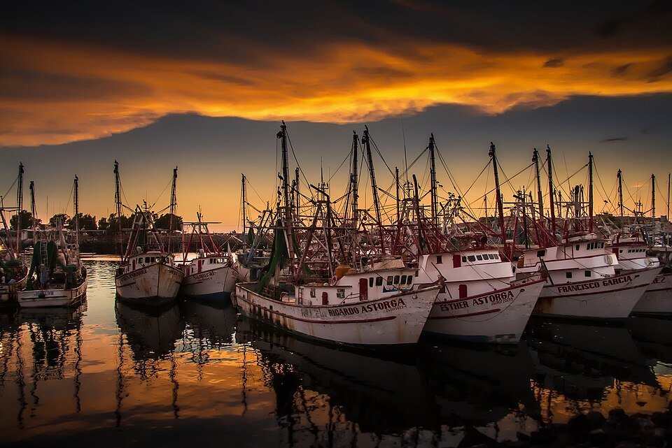 Shrimp boats moored in the fishing harbor of Puerto Peñasco, Sonora, at sunset, their reflections in calm water