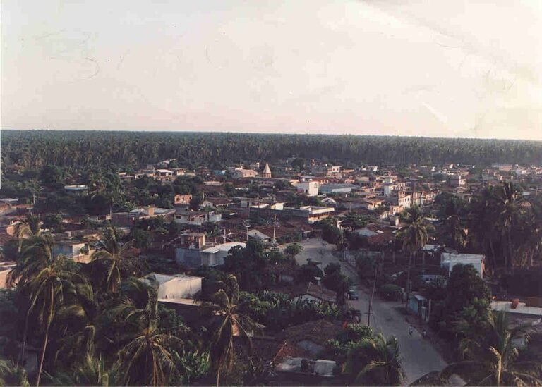 Elevated archive view of Tenexpa buildings and palm trees in Guerrero.