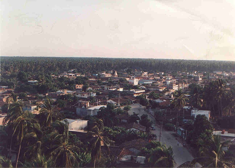 Elevated archive view of Tenexpa buildings and palm trees in Guerrero.