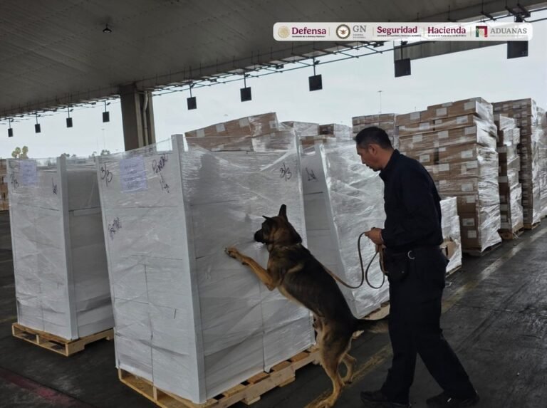 A customs officer leads a German shepherd drug-detection dog past shrink-wrapped pallets of boxes in the export area of the Tijuana customs facility