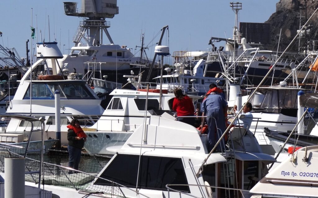 Boats in the harbor at Ensenada, Baja California