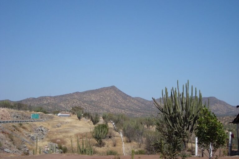 Dry hills and cactus along a highway in the Tepalcatepec area of Michoacán, Mexico, under a clear blue sky