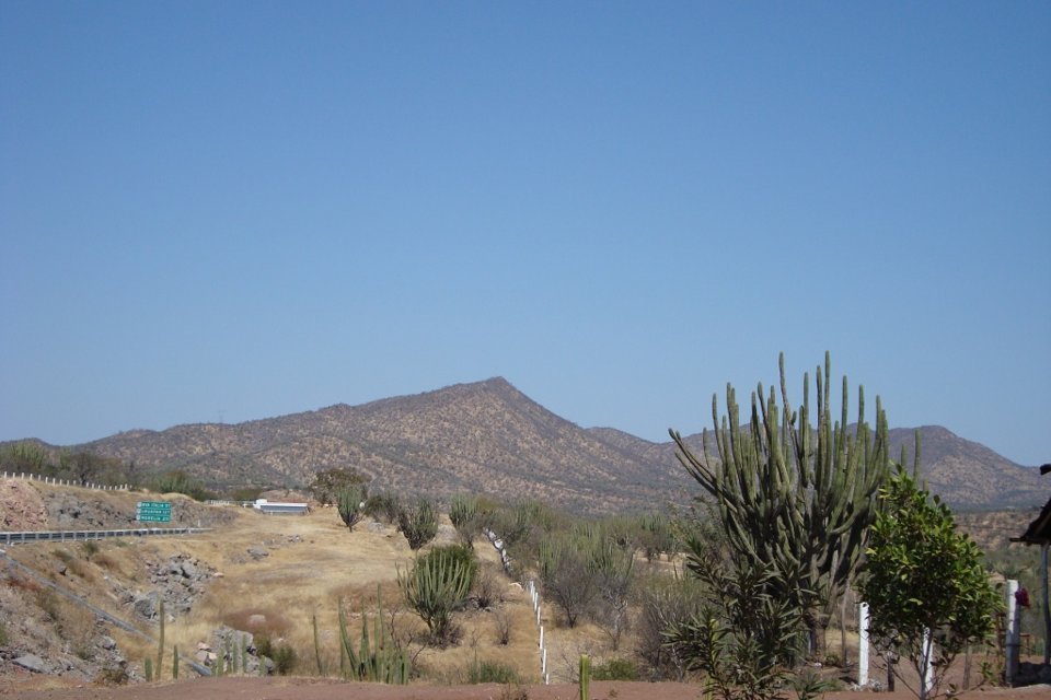 Dry hills and cactus along a highway in the Tepalcatepec area of Michoacán, Mexico, under a clear blue sky