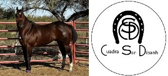 A bay quarter horse in a pen next to the Cuadra San Dibanh horseshoe logo