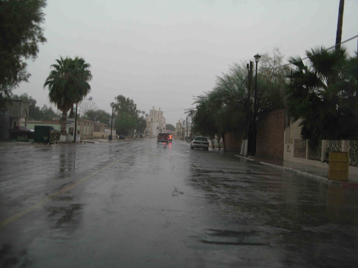 Rain-soaked main street in Caborca, Sonora, lined with palm trees, with the town's mission church in the distance