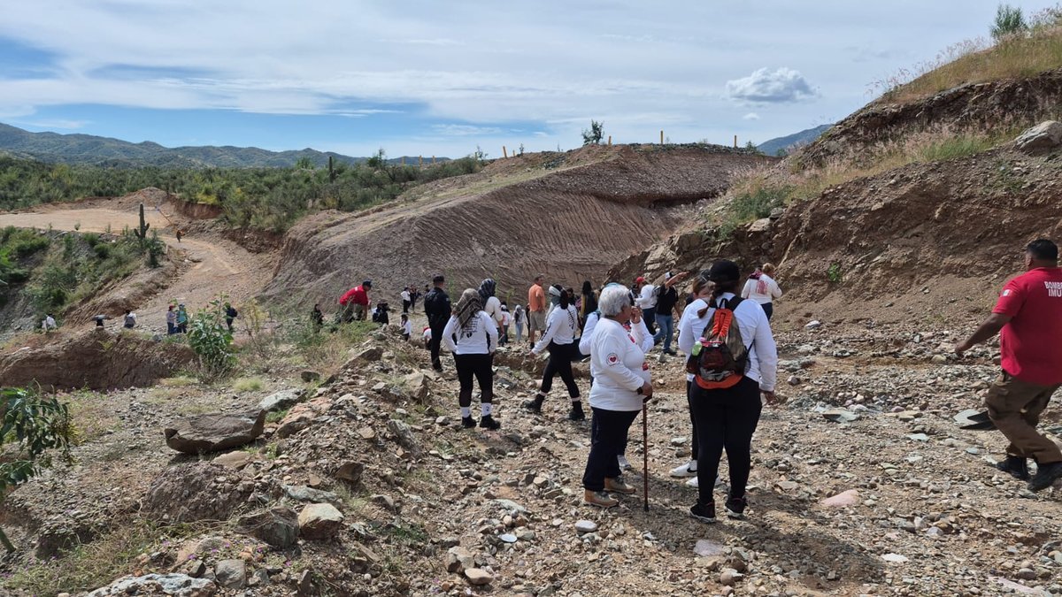 Dozens of people in white search-collective shirts walk across rocky, excavated hillsides in the Sonoran scrub