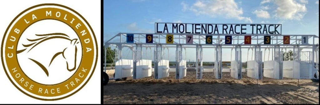 Club La Molienda horse race track logo beside a white ten-stall starting gate under a 'La Molienda Race Track' sign on a dirt track
