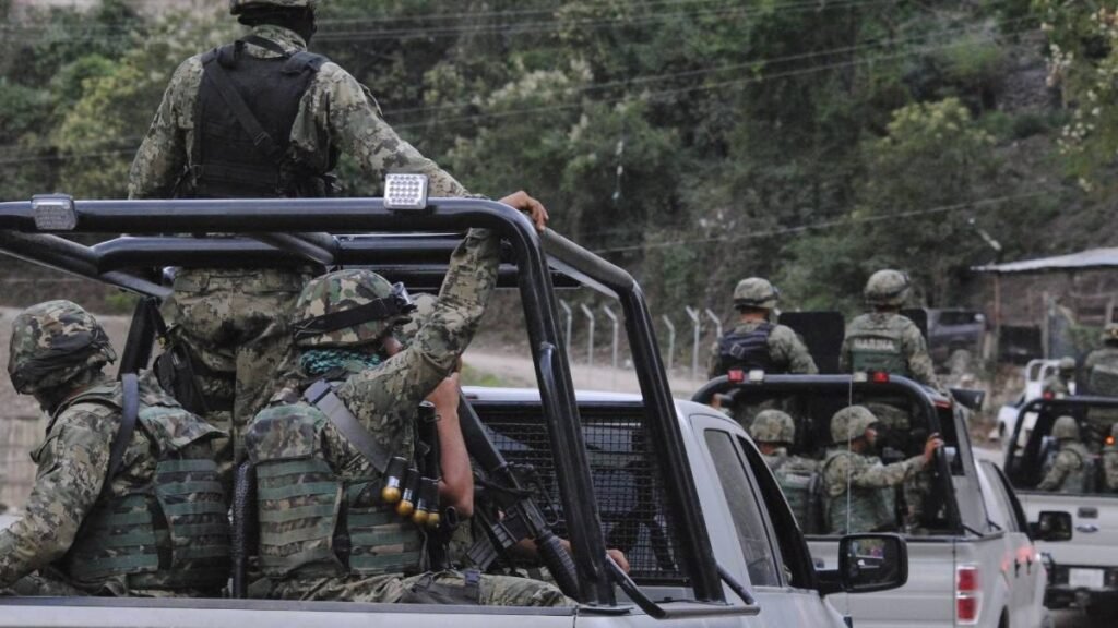 Mexican Navy marines in camouflage and helmets ride armed in the beds of gray pickup trucks on a road lined with green trees
