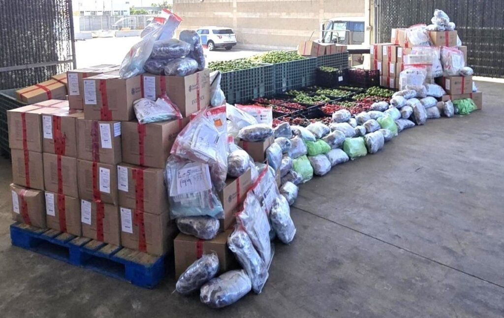 Stacked evidence boxes and dozens of wrapped packages lined up on a concrete floor beside crates of green tomatillos and red and green chiles at a CBP facility