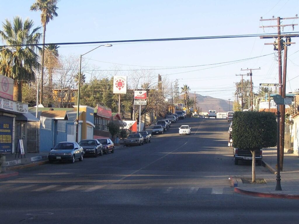 A downtown street in Tecate, Baja California, lined with palm trees, shops and parked cars, with hills in the distance
